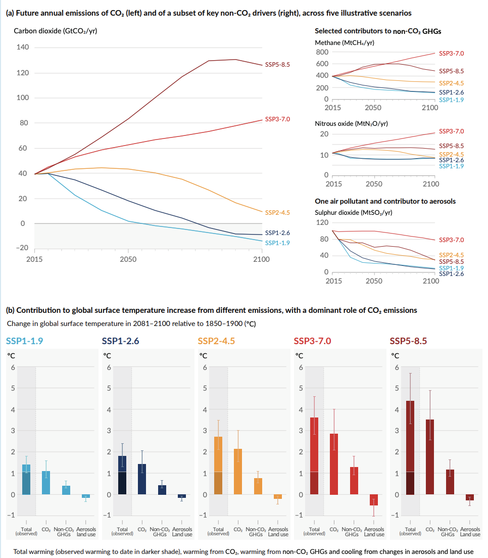 Rainfall and sea surface temperature: key drivers for occurrence